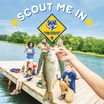 Scout me in!